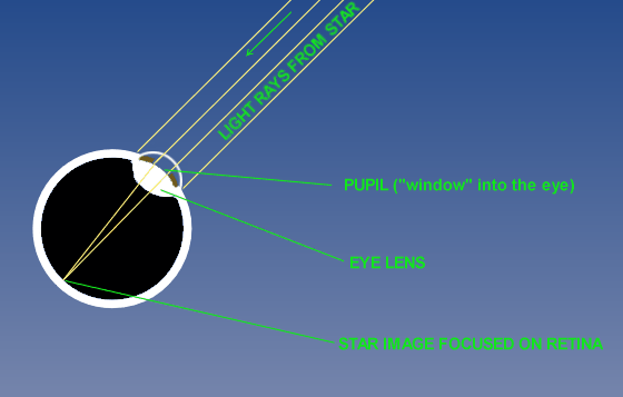 diagram of eye