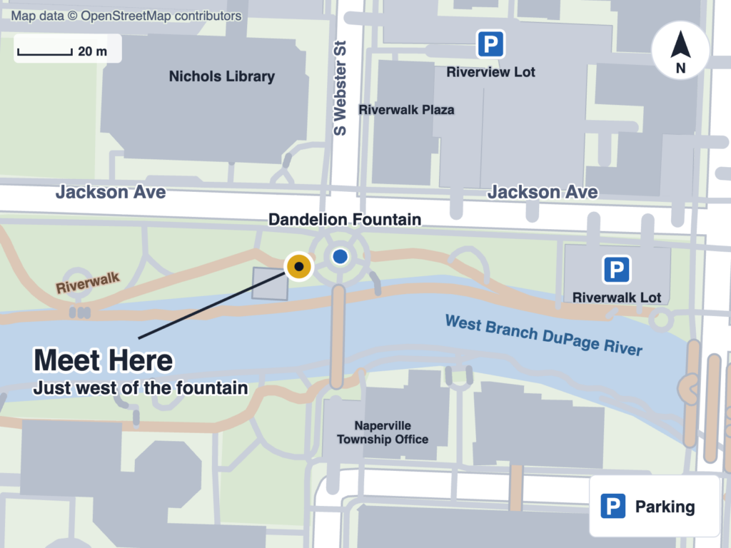 Map of the Naperville Riverwalk at the Dandelion Fountain: we meet on the plaza just west of the fountain, on the north bank of the West Branch DuPage River below Jackson Ave. The Riverwalk Lot is east along the river path; the Riverview Lot is north of Jackson Ave.